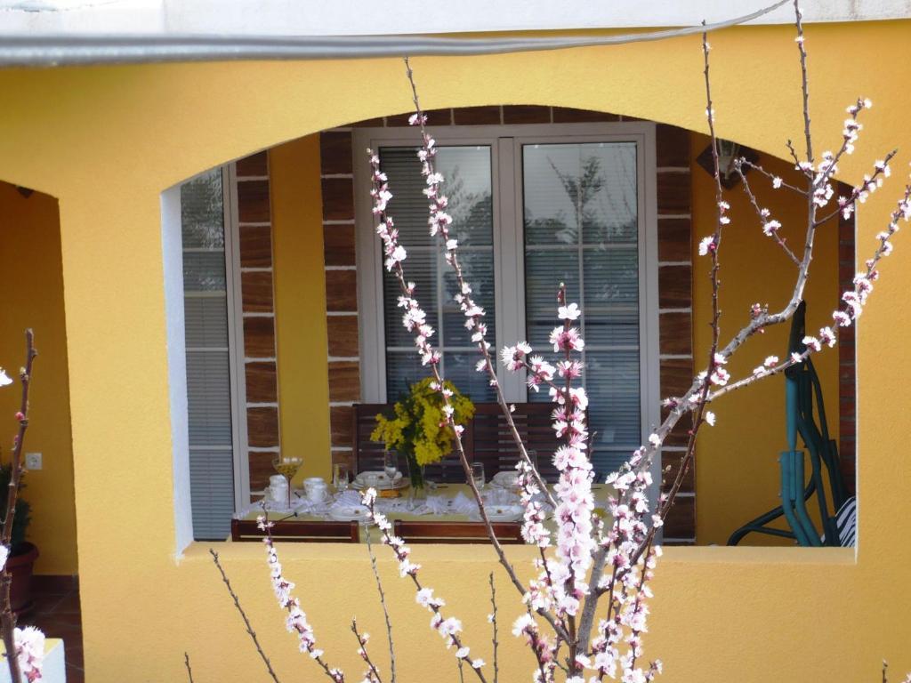 Apartments Brac Supetar Δωμάτιο φωτογραφία